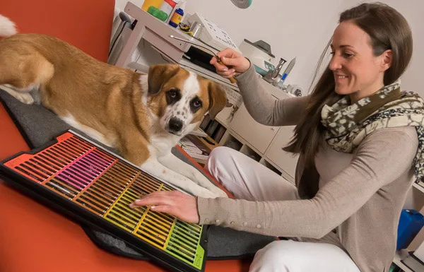 Bioresonanz-Testung beim Hund in der Tierarztpraxis vet4balance in Arnsberg